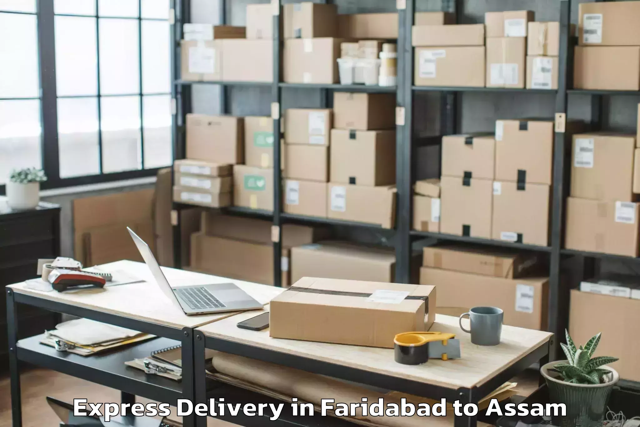 Professional Faridabad to Hajo Express Delivery